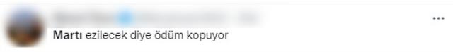 Beşiktaş maçındaki martı görenleri hayrete düşürdü! Her pozisyonun içinde yer aldı Beşiktaş maçındaki martı görenleri hayrete düşürdü! Her pozisyonun içinde yer aldı