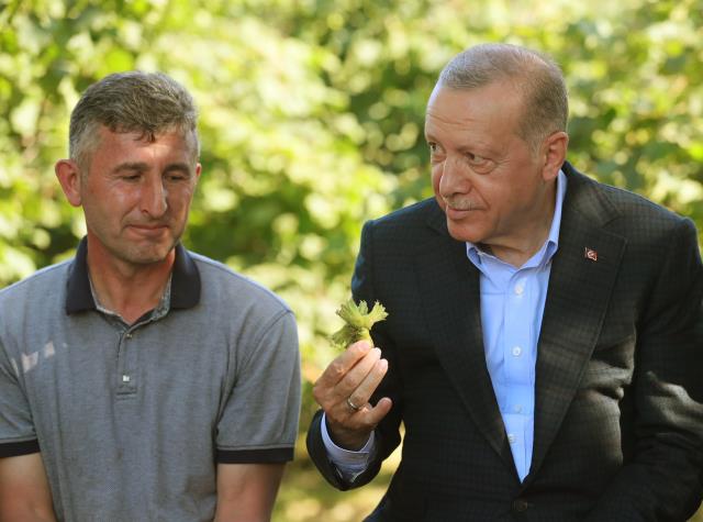 Cumhurbaşkanı Erdoğan, 'Fındık kaç lira olsun?' diye sordu! Vatandaşın 'Ordu'nun plakası 52' cevabı kahkahaya boğdu