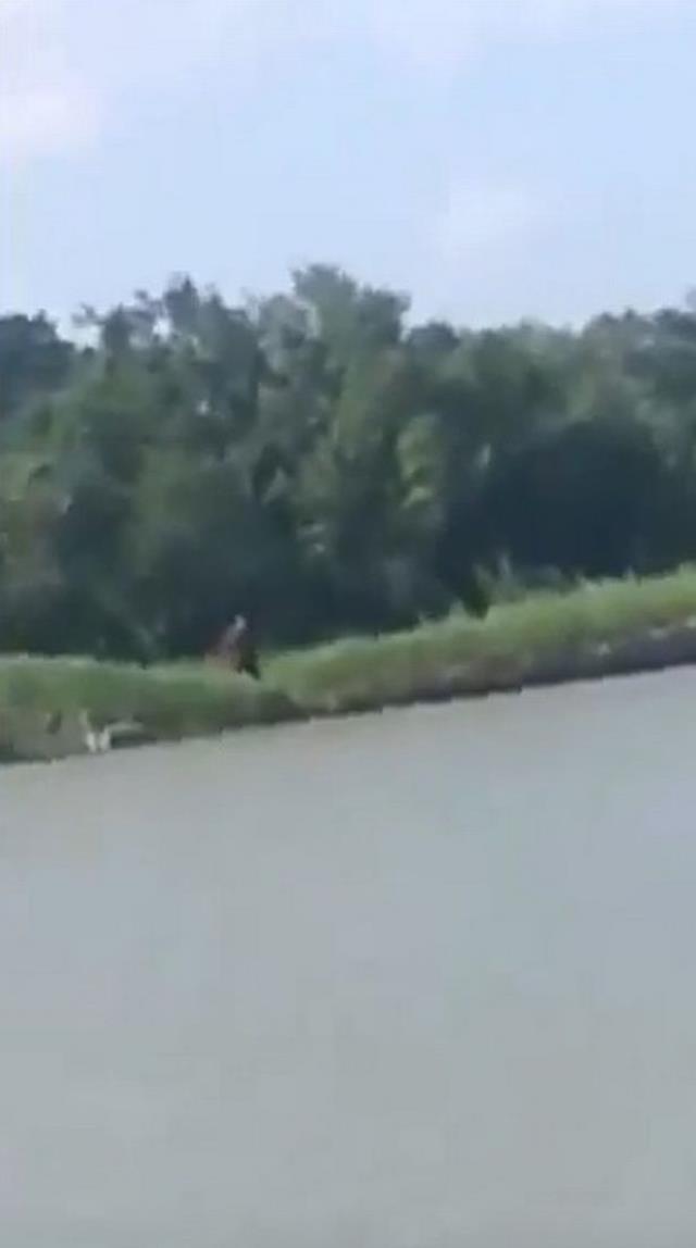 Dünyadaki televizyon haber merkezlerine bomba gibi düşen görüntü! İşte yarı insan yarı hayvan
