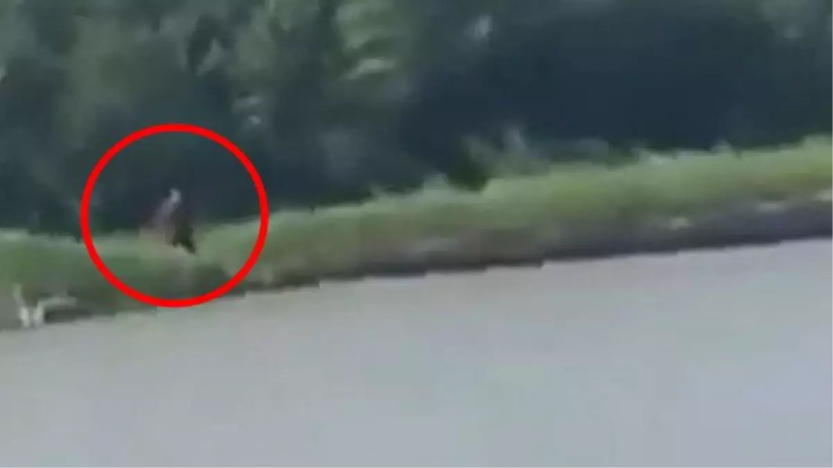 Yarı insan yarı hayvan! Bu görüntü ABD\'de günün konusu oldu