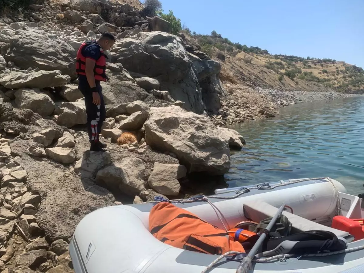 Kayalıklardan düşerek yaralanan köpek, itfaiye ekiplerince kurtarıldı