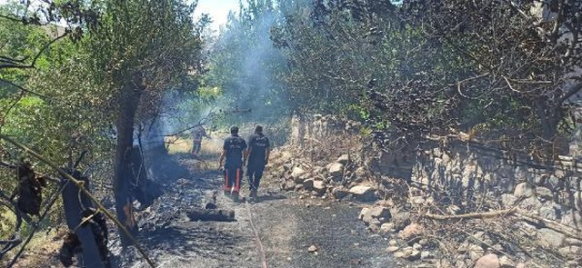 Malatya'da artan hava sıcaklığı nedeniyle 20 yangın çıktı Malatya'da artan hava sıcaklığı nedeniyle 20 yangın çıktı