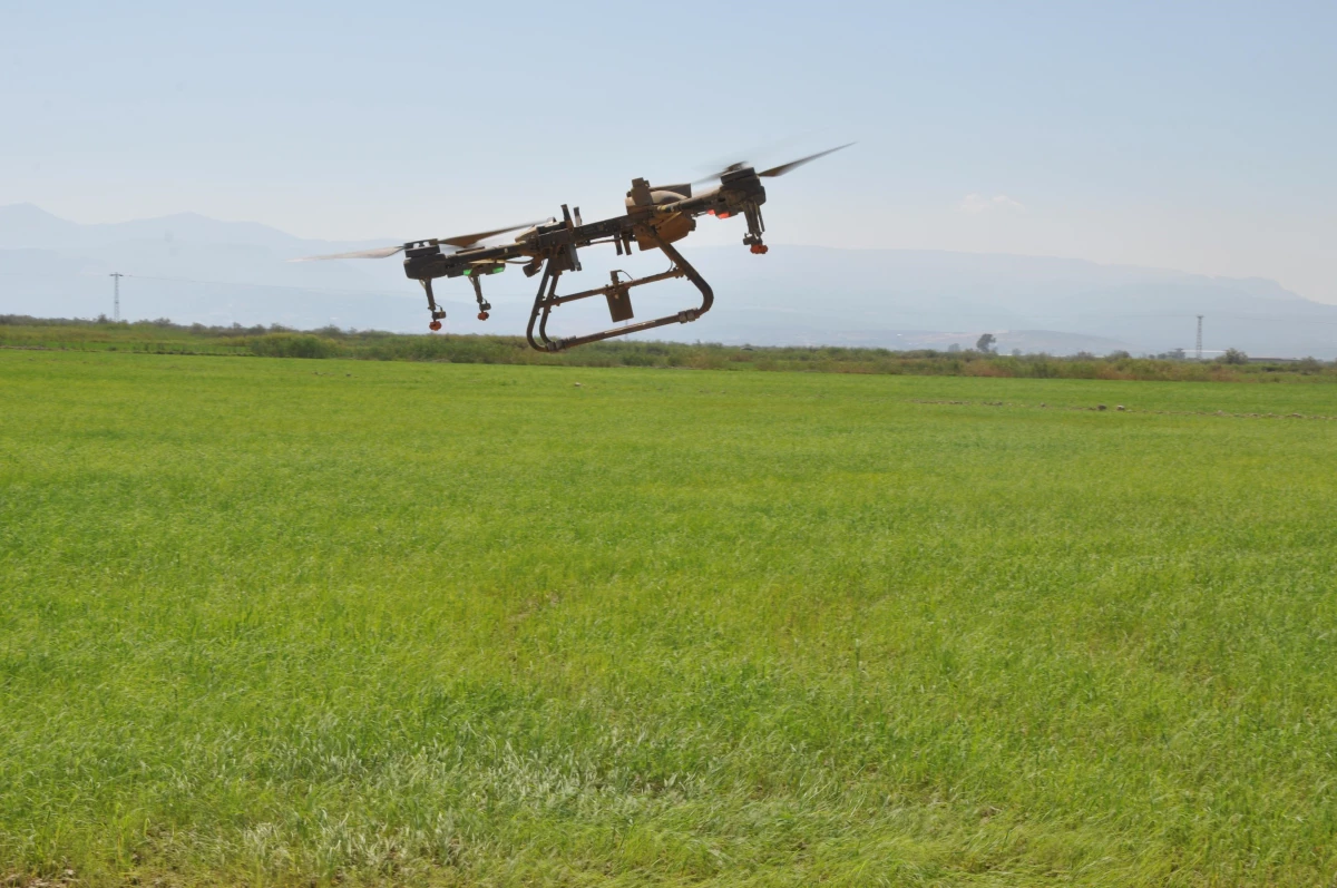 Mersin\'de çeltik tarlası yabani otlara karşı dron ile ilaçlandı