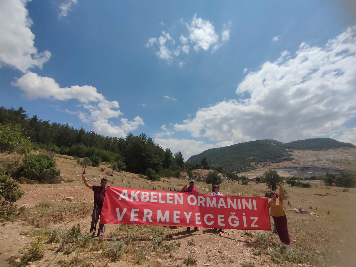 Muğla\'da Akbelen Ormanı\'nda Maden Sahasını Genişletmek İsteyen Yk Enerji\'ye Mahkemeden Onay Çıkmadı