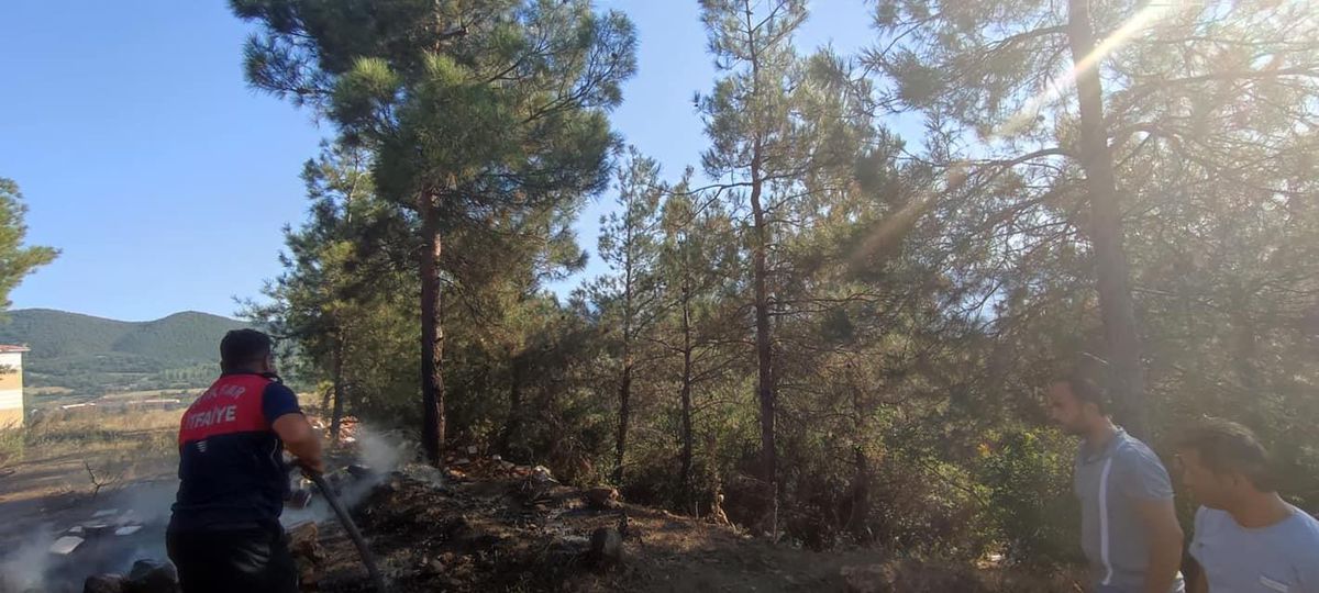 Tokat\'ta çıkan orman yangını söndürüldü