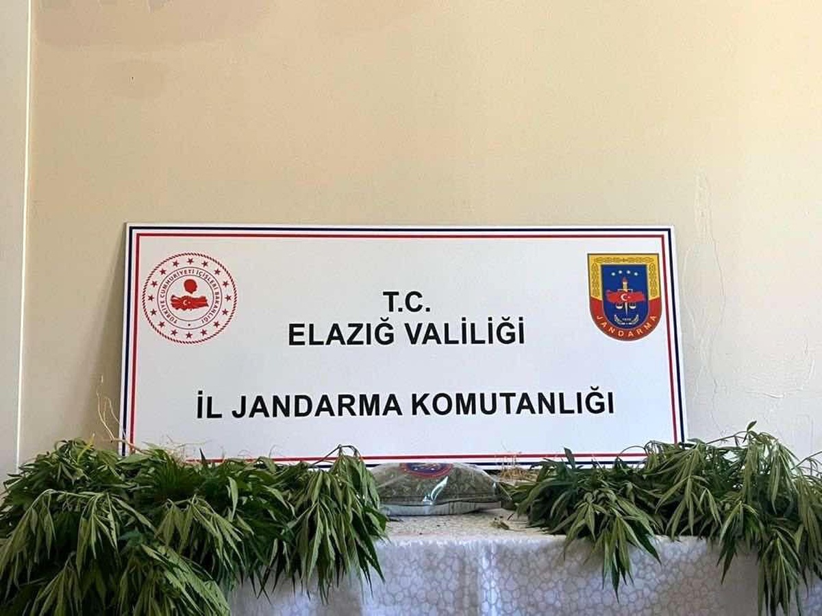 Elazığ\'da jandarmadan eş zamanlı uyuşturucu operasyonu