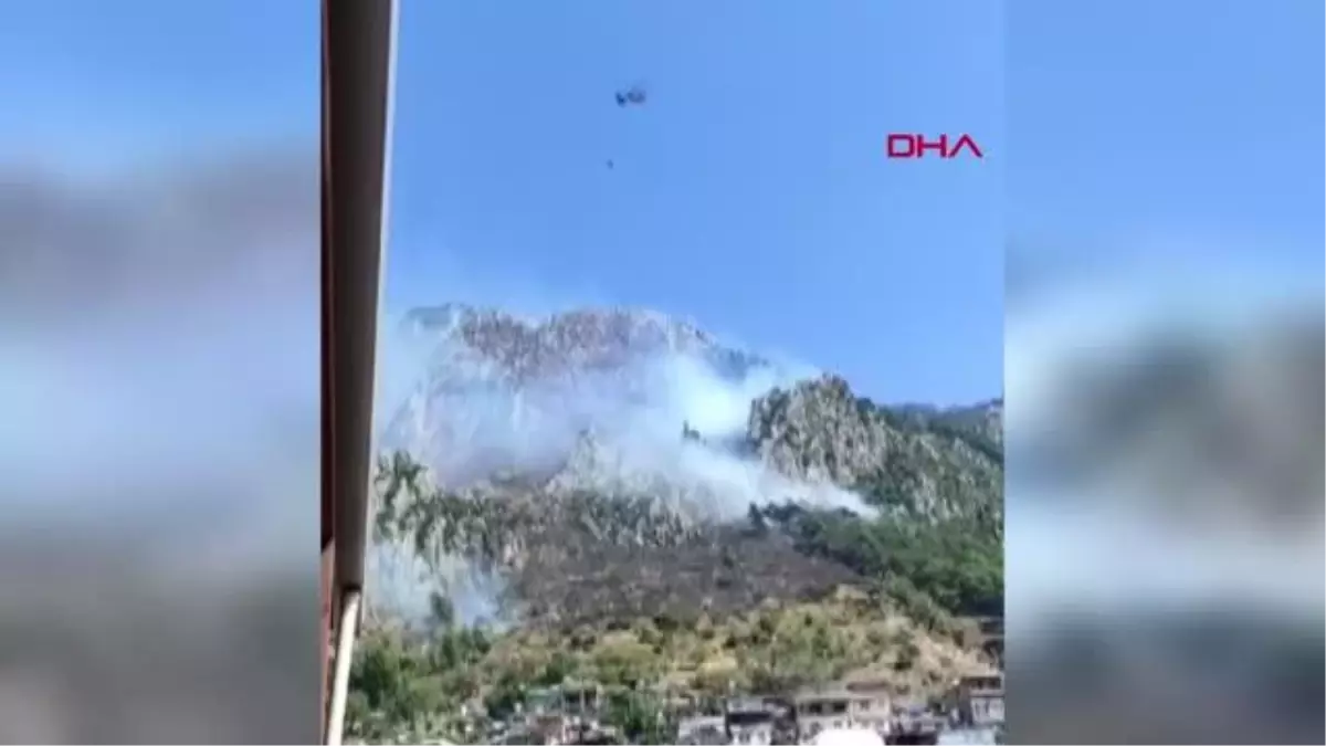 Hatay'da orman yangını (1)