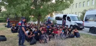Kırklareli'de 88 kaçak göçmen yakalandı, 7 organizatör tutuklandı