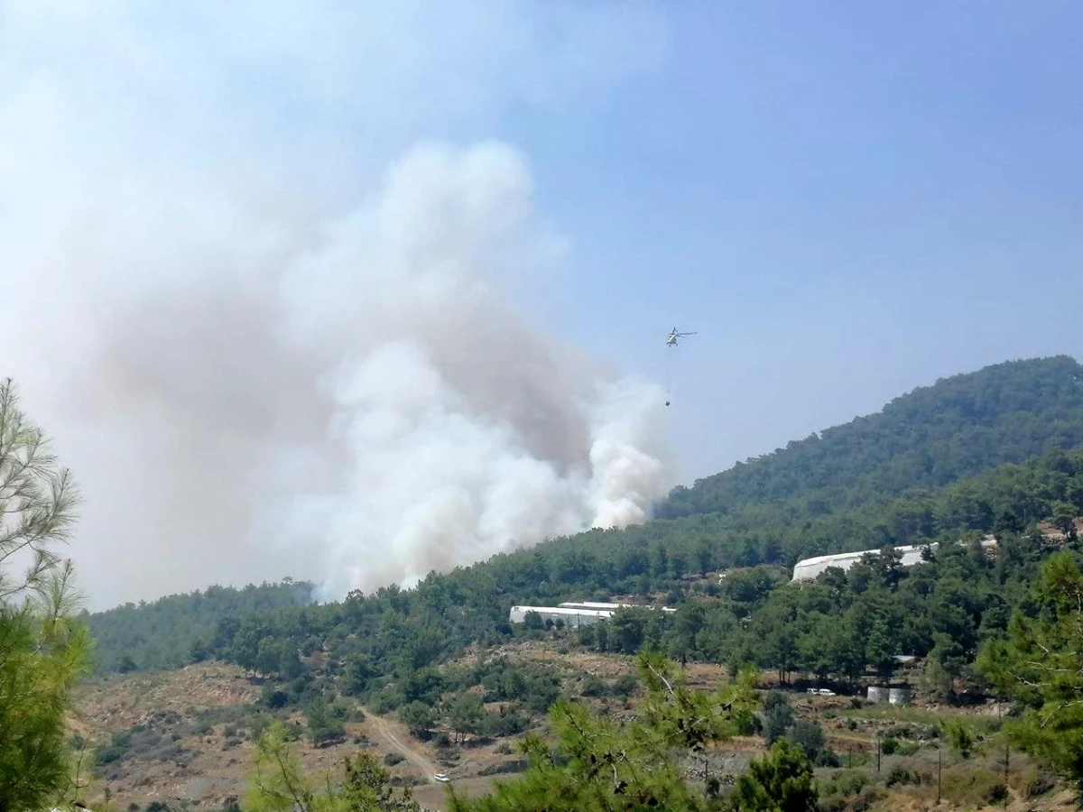 Mersin\'de orman yangınına 2 uçak ve 5 helikopterle müdahale ediliyor