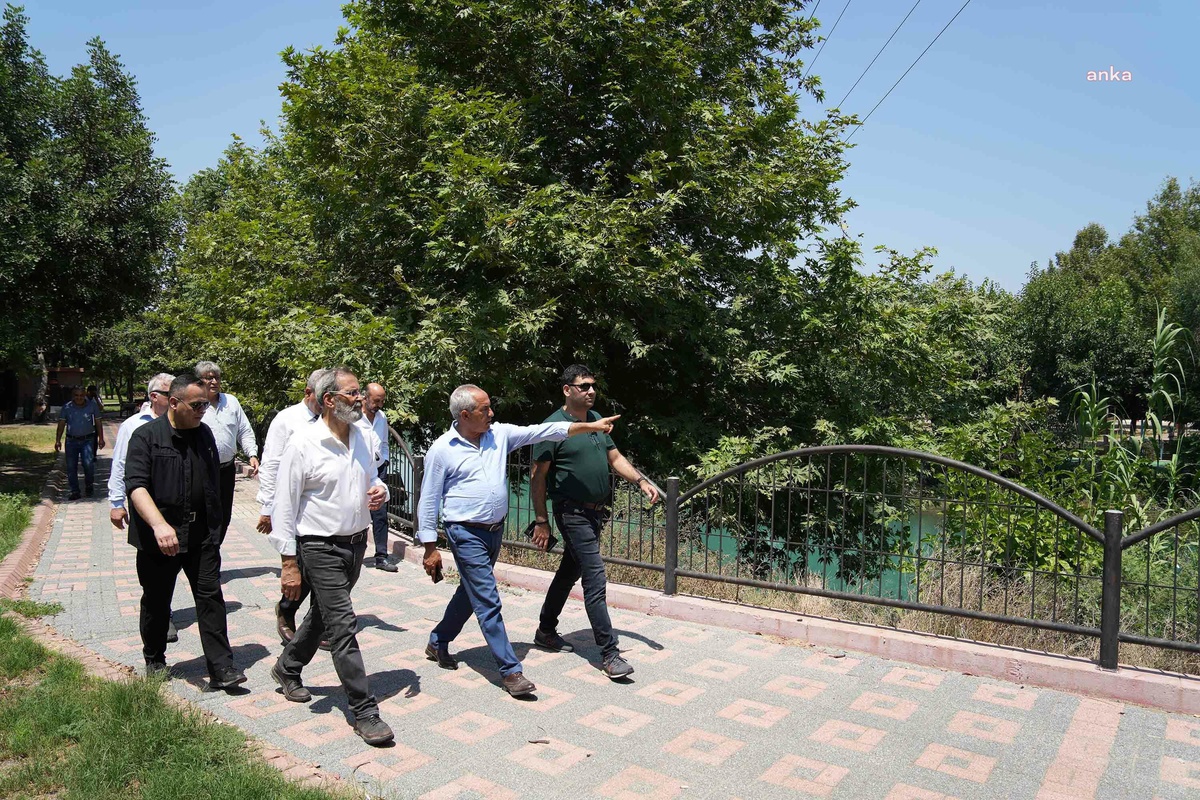 Mersin yerel haberi... Tarsus Belediyesi \'Zeytin Gen Koruma Alanı\' Açmaya Hazırlanıyor
