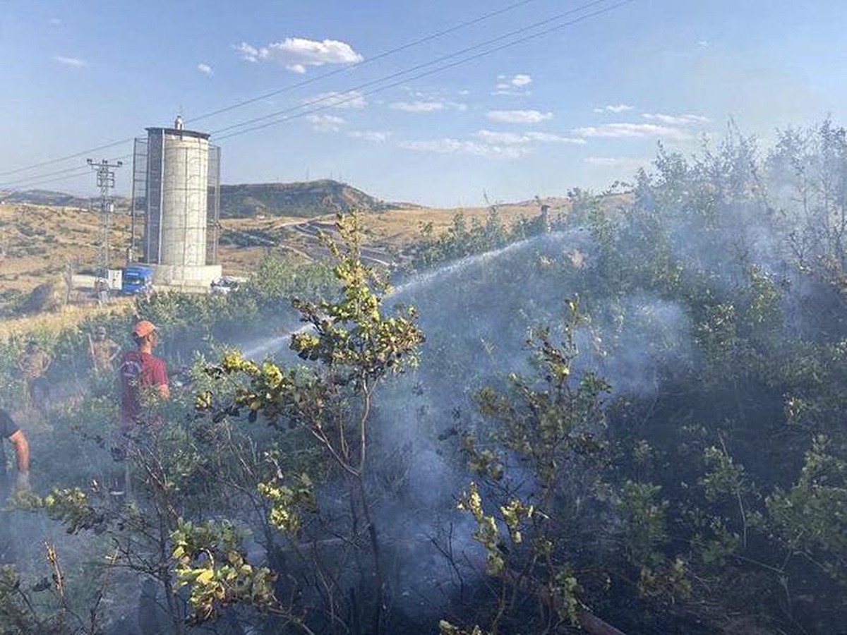Tunceli\'de iki köyde çıkan örtü yangınları söndürüldü