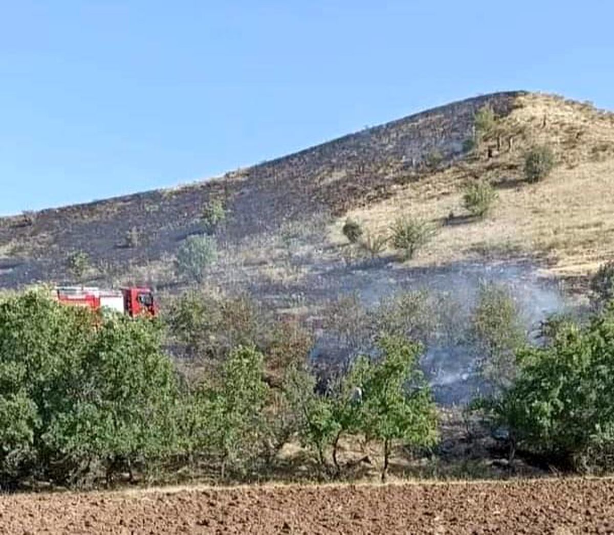 Tunceli\'deki örtü yangını söndürüldü