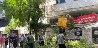 10 metrelik ağaç dalı, nüfus müdürlüğüne devrildi; o anlar kamerada