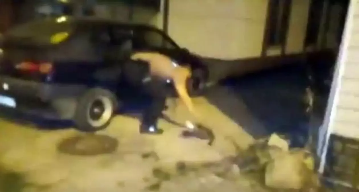 Afacan kedi kafasını cips poşetinin içine soktu, yardıma bekçiler koştu