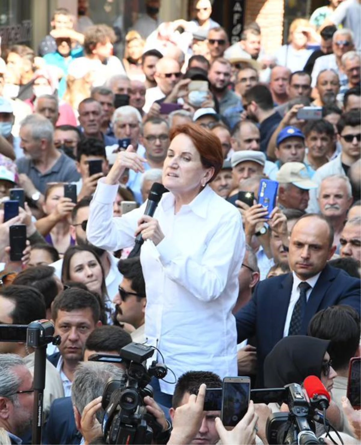 Akşener: Kuru ayçiçeğinin fiyatı 16.5 TL olmalı