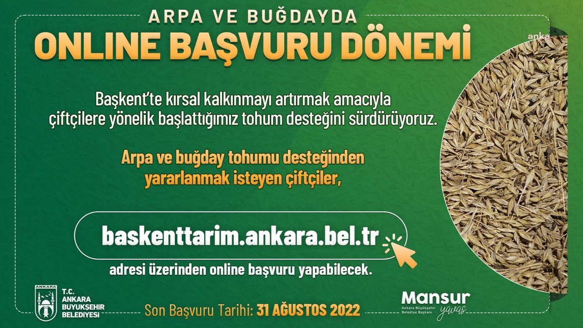 ABB\'nin arpa ve buğday tohum desteği için başvurular başladı