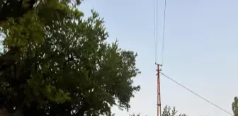 Bahçe dönüşü patpat devrildi: 3 yaralı