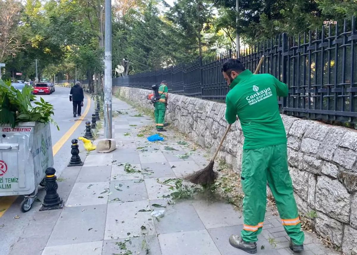 Çankaya\'da Toplu Temizlik Çalışmaları Sürüyor