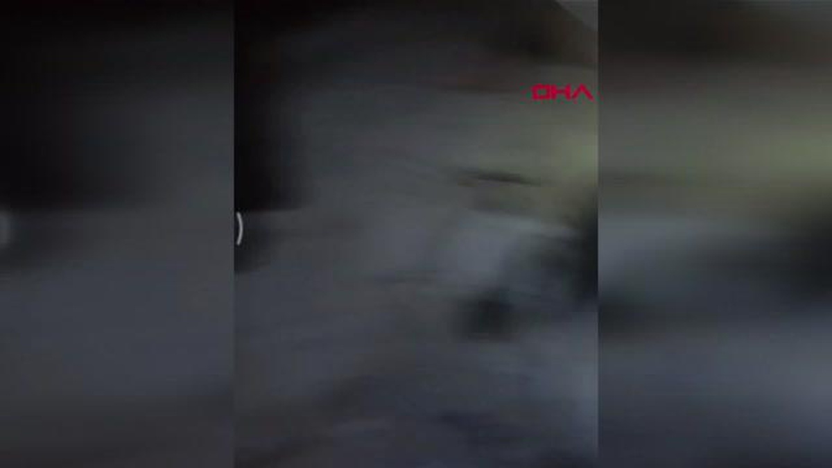 KAFASI PLASTİK BORUYA SIKIŞAN KEDİYİ VATANDAŞLAR KURTARDI
