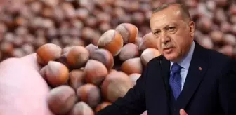 Fındık fiyatını eleştiren Kılıçdaroğlu ve Akşener'e, Erdoğan'dan yanıt: Vatandaşın gönlündeki rakamı açıkladık
