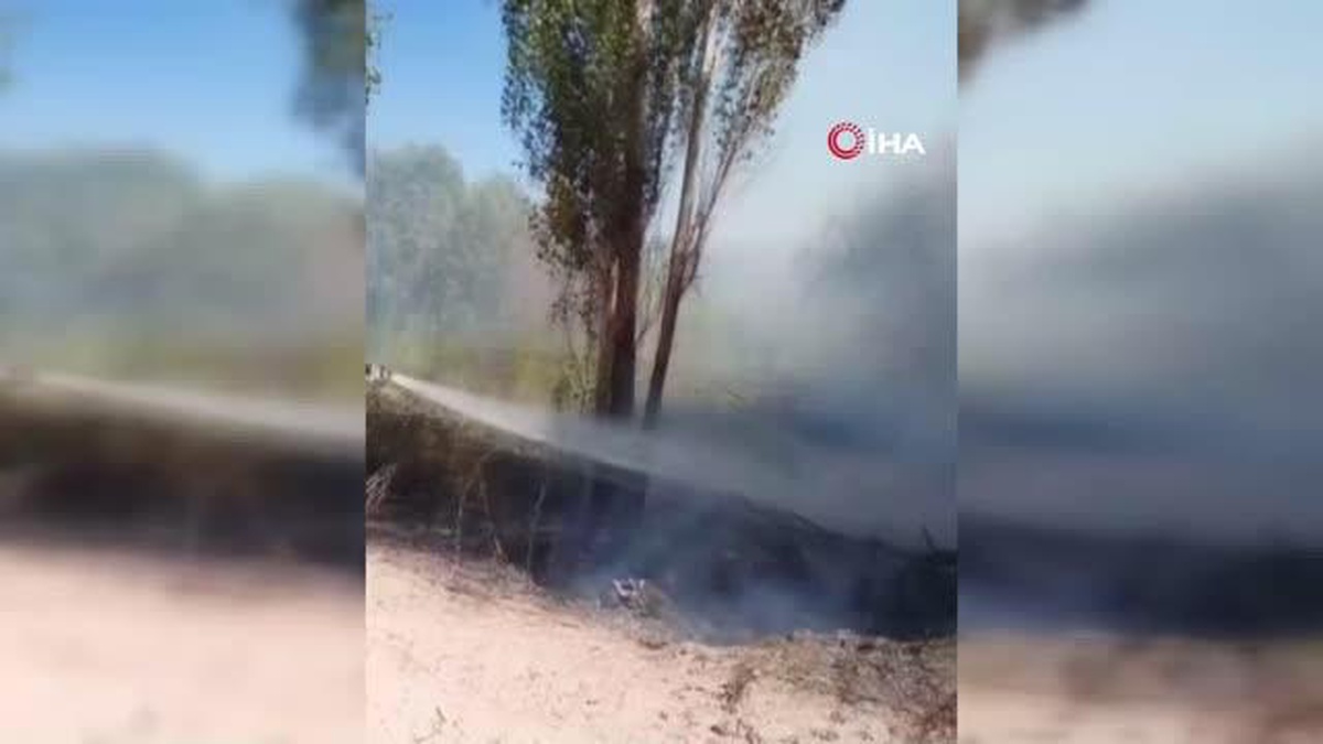 Ağaçlık alanda çıkan yangın korkuttu