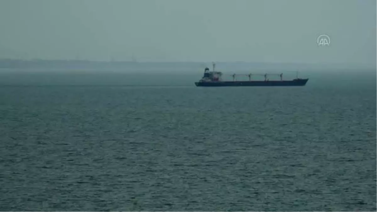 Tahıl yüklü ilk gemi Odessa Limanı'ndan hareket etti