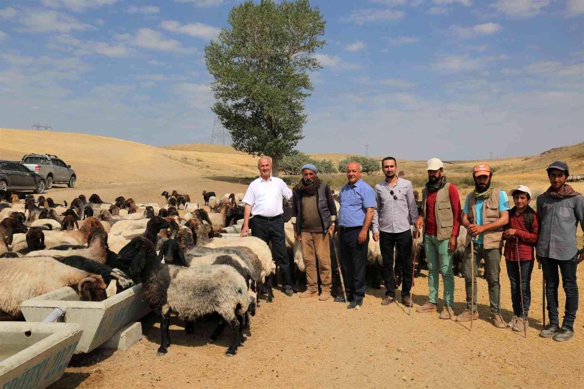 Tuşba Belediyesinden kırsal mahallelere sıvat desteği