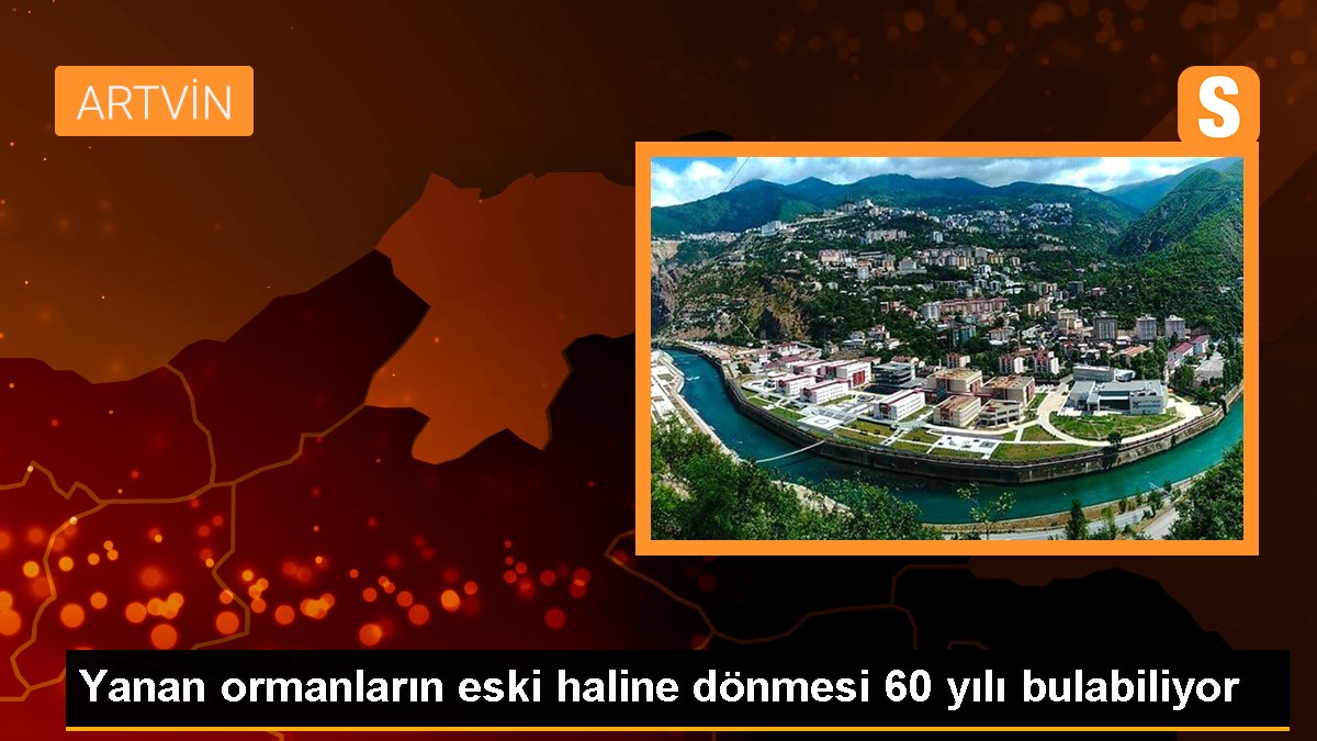 Yanan ormanların eski haline dönmesi 60 yılı bulabiliyor