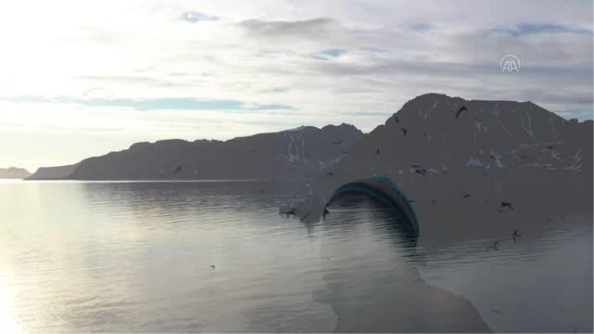 ARKTİK OKYANUSU - İklim değişikliği, Kuzey Kutup canlılarının yaşam alanını tehdit ediyor