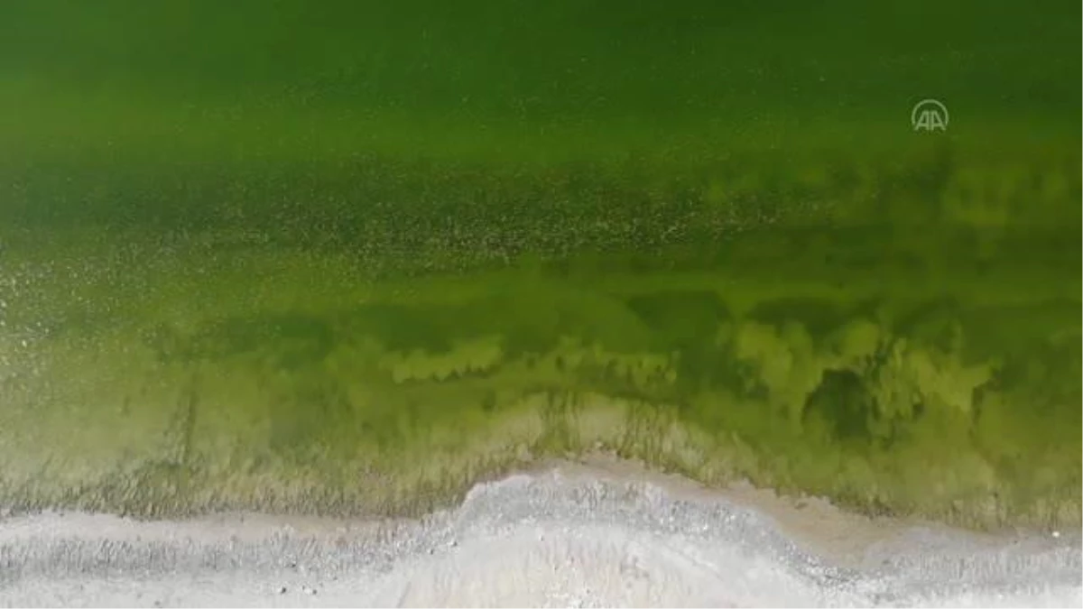 Burdur Gölü\'nde alg patlaması endişeye neden oldu