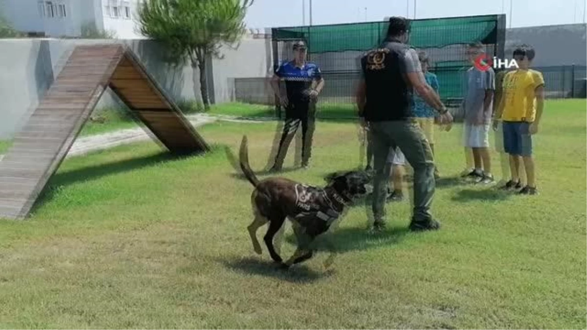 5 çocuktan yaşları küçük, davranışları büyük dedirtecek davranış