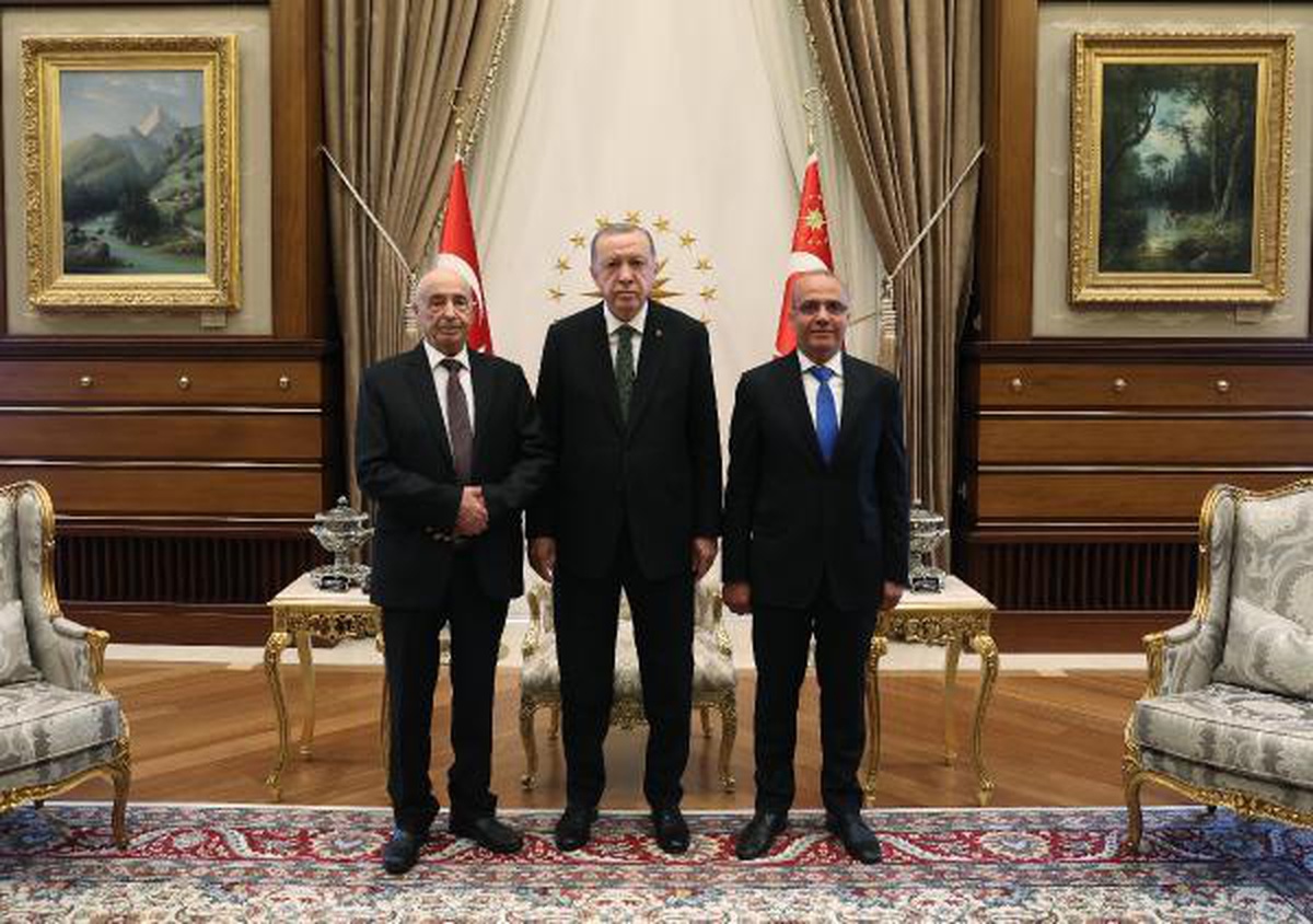 Cumhurbaşkanı Erdoğan, Libya Temsilciler Meclisi Başkanı Salih\'i kabul etti