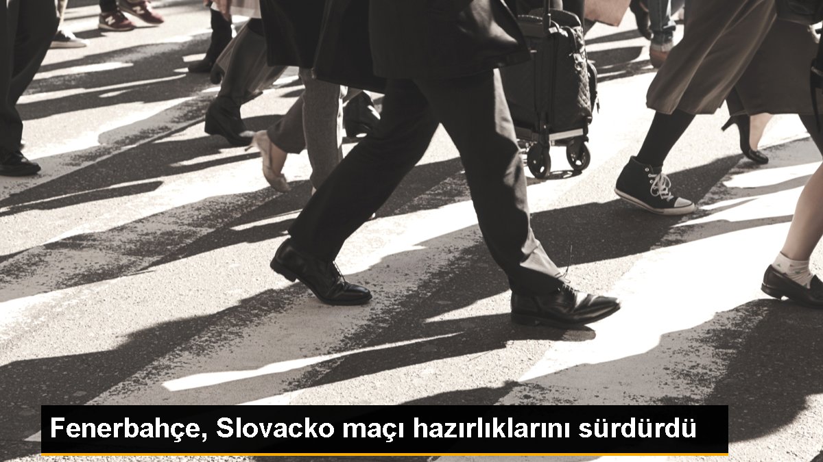 Fenerbahçe, Slovacko maçı hazırlıklarını sürdürdü