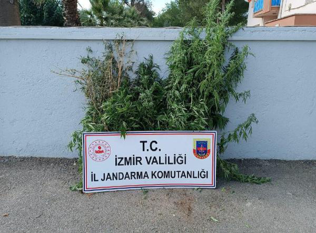 İzmir\'deki uyuşturucu operasyonlarında 3 tutuklama
