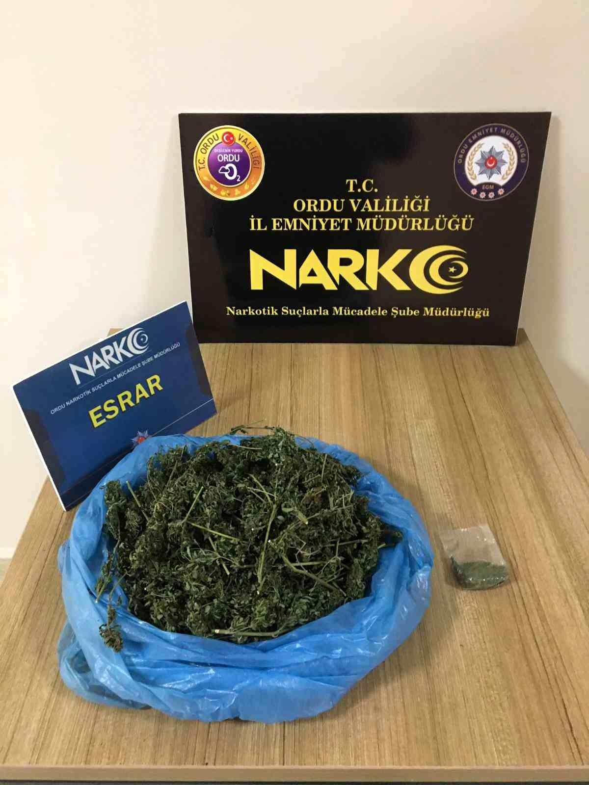 Ordu\'da uyuşturucu operasyonlarında 1 tutuklama