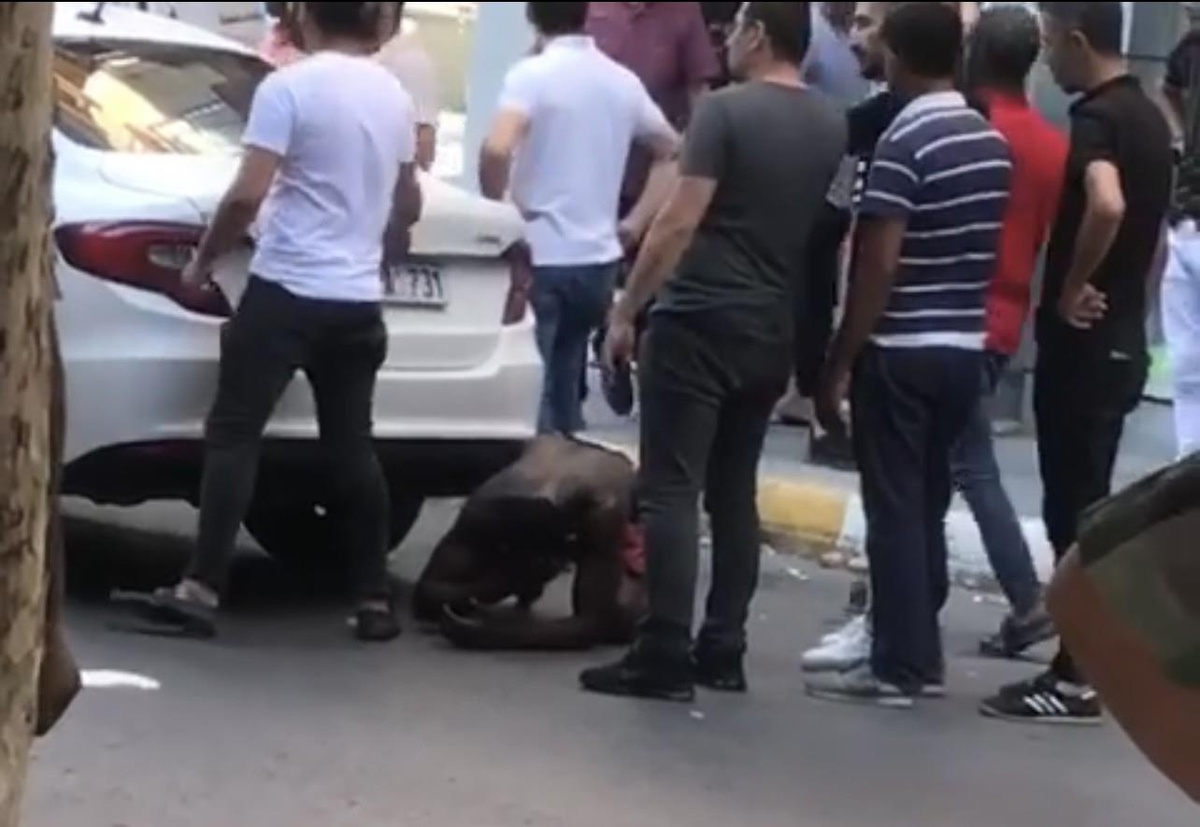 Sinir krizi geçirdi ortalığı birbirine kattı