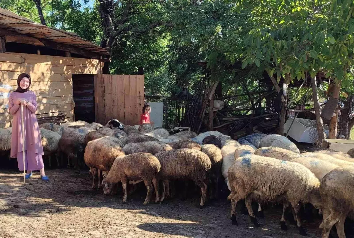 Sinop haberleri! Sinop\'ta Uzman Eller projesi başarılı sonuçlandı