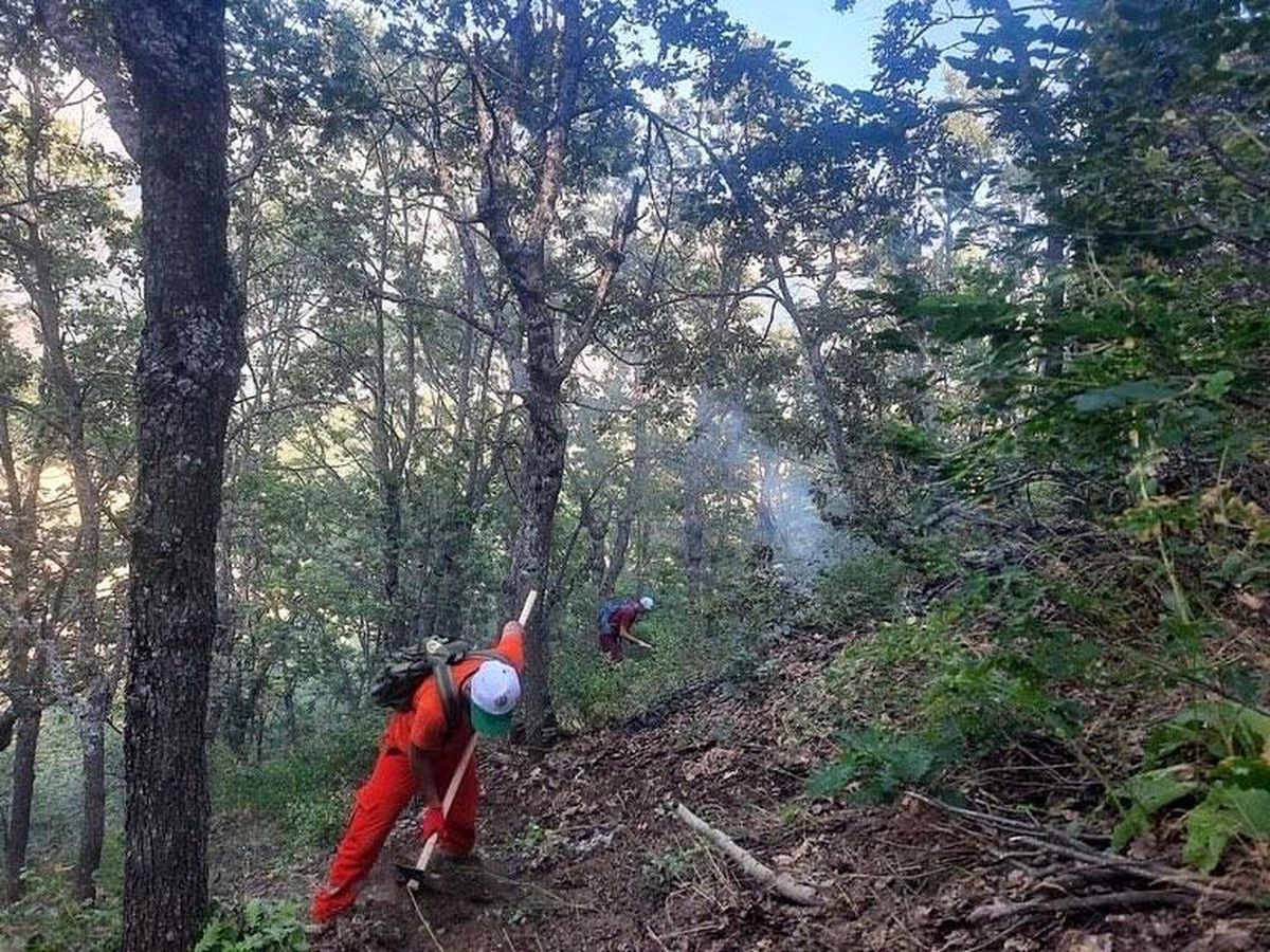 Tunceli\'de orman yangını büyümeden söndürüldü