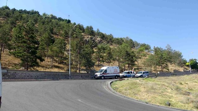 Dağlık alanda yürüyüş yapan çocuklar ağaca asılı ceset buldu Dağlık alanda yürüyüş yapan çocuklar ağaca asılı ceset buldu