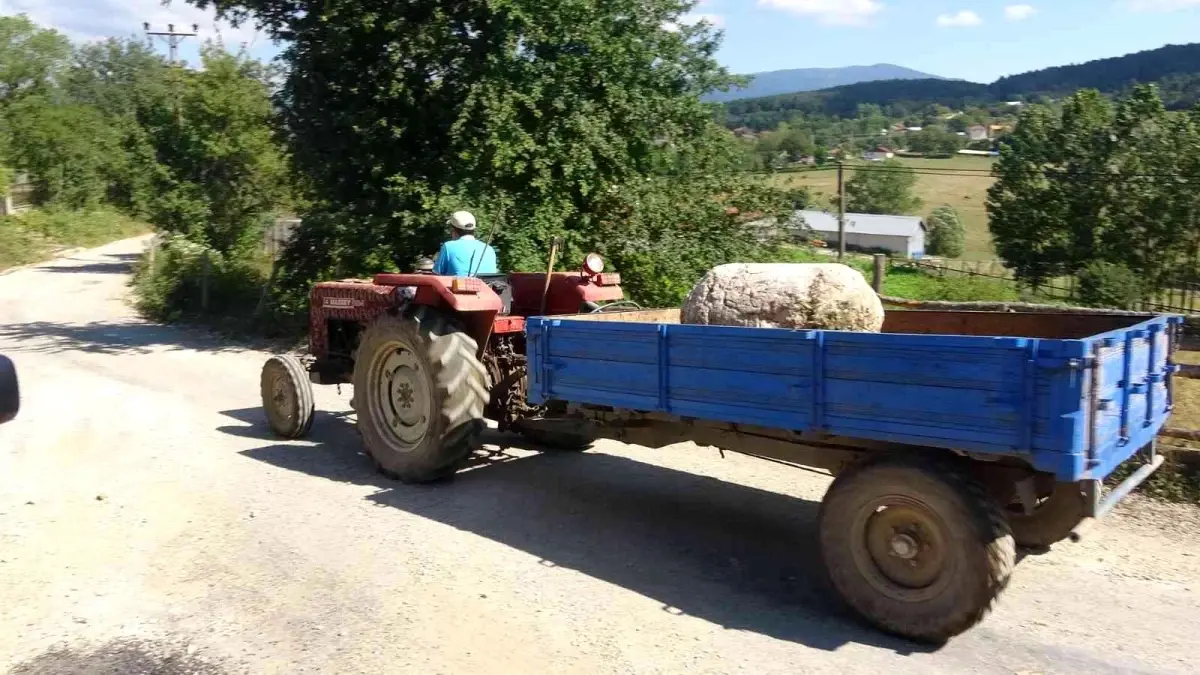 250 yıllık kayıp sütunlar ünlü ailenin villasında ortaya çıktı