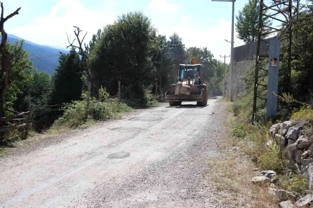 250 yıllık sütunlar, sosyetik ailenin lüks villasından çıktı