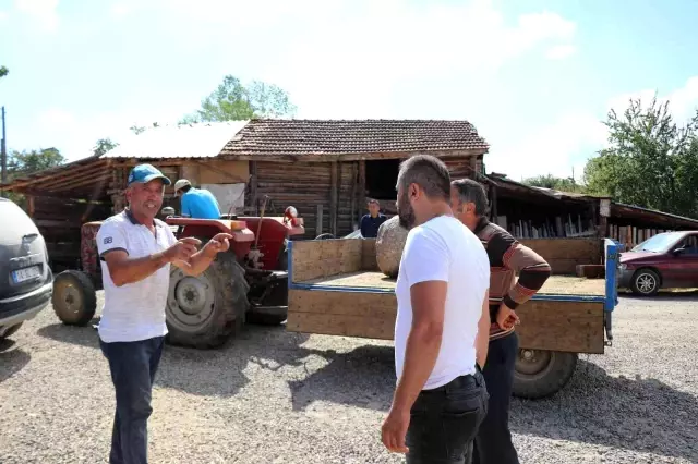 250 yıllık sütunlar, sosyetik ailenin lüks villasından çıktı