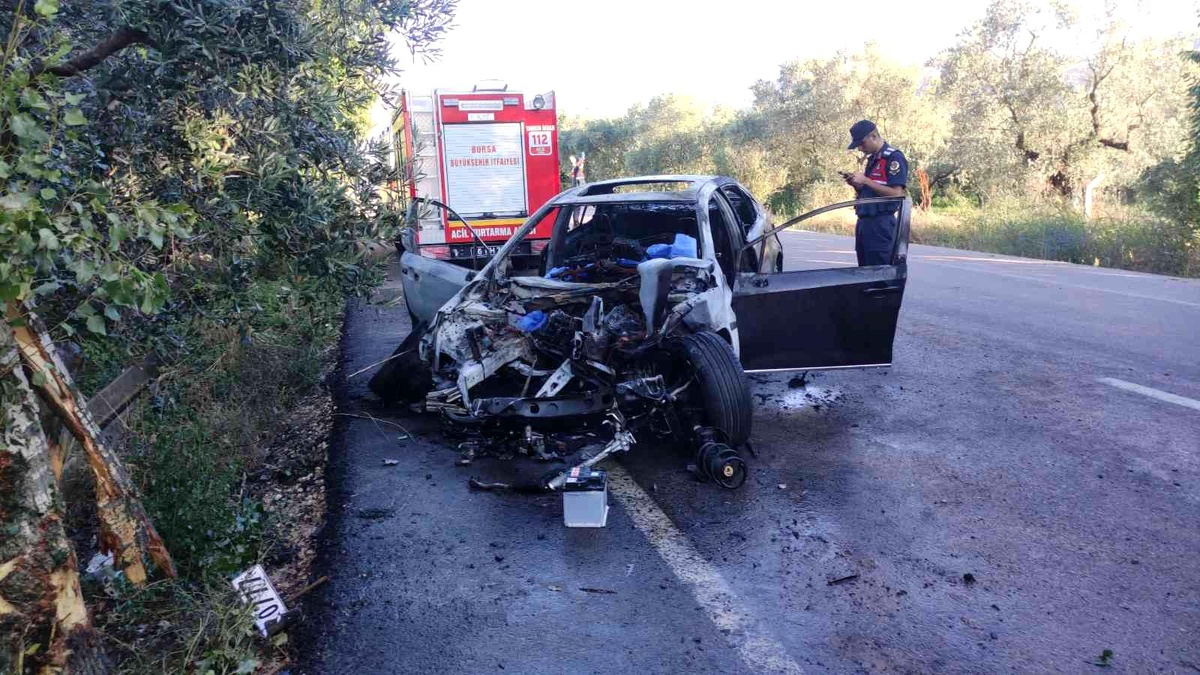 Ağaca çarpıp alev alan otomobilin sürücüsü feci şekilde can verdi