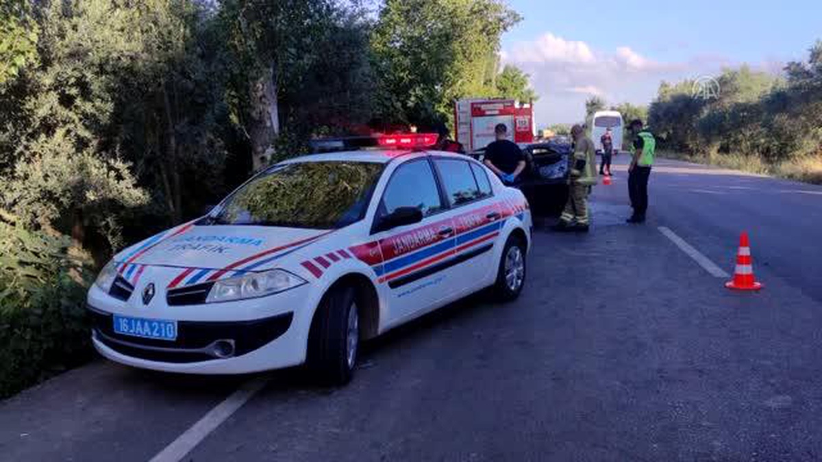 Bursa\'da ağaca çarpıp alev alan otomobilin sürücüsü öldü