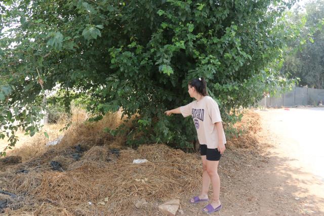 Annesi tarafından ağaç altına bırakılan bebeği, bir başka kadın emzirdi Annesi tarafından ağaç altına bırakılan bebeği, bir başka kadın emzirdi