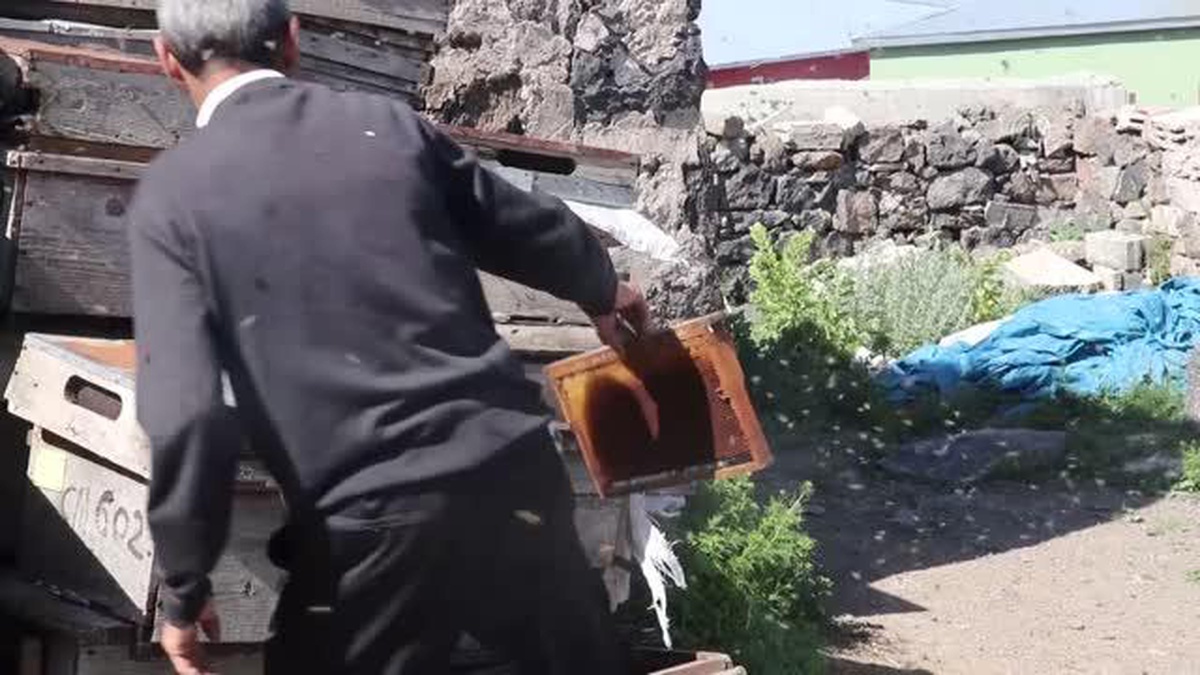 Kars\'taki arıcılar verimli bir sezon bekliyor