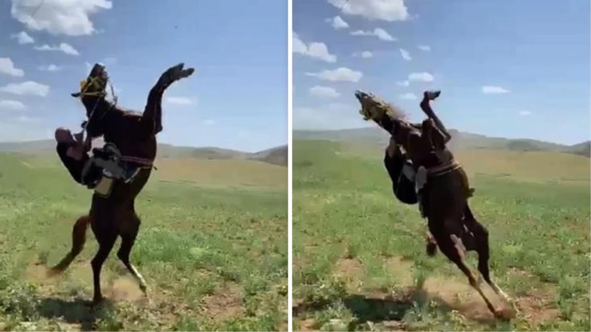 Şaha kalkan atla birlikte düşen muhtar canından oluyordu