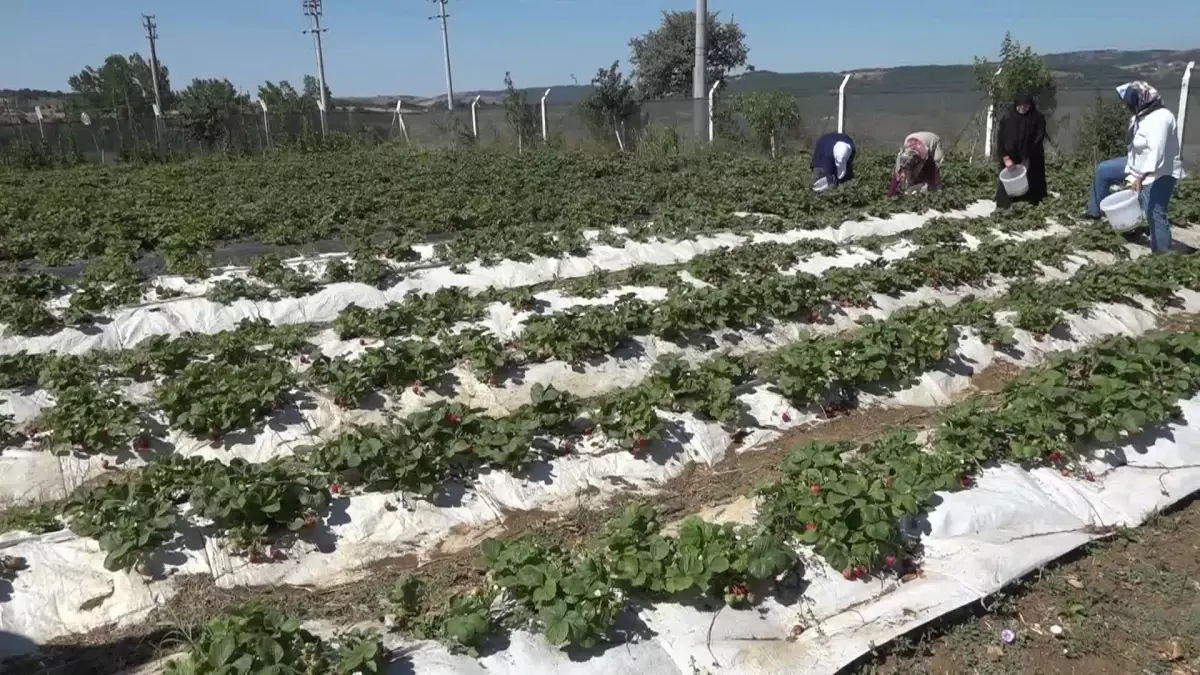 Atalantekkeli Kadınlar, Tepebaşı Belediyesi\'nin Desteğiyle Üretiyor