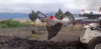 Balçığa saplanan ineği itfaiye ekipleri kurtardı