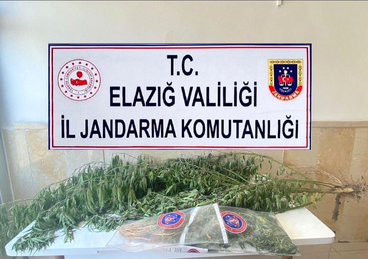 Elazığ\'da varil içerisine zulalanmış kenevir ele geçirildi